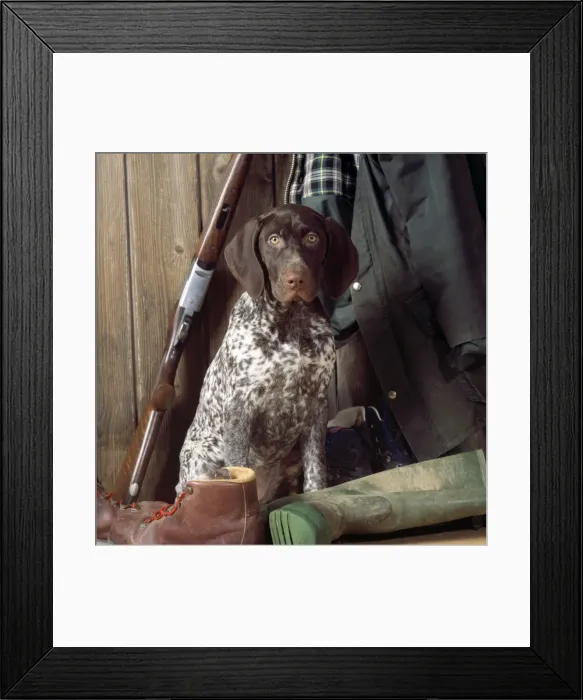Framed Print : Picture No. 10857750 Framed Print : Picture No. 10857750