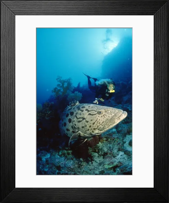 Framed Print : Picture No. 10857811 Framed Print : Picture No. 10857811