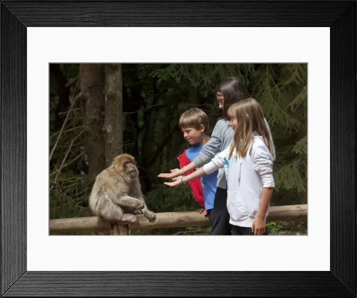 Framed Print : Picture No. 10899274 Framed Print : Picture No. 10899274
