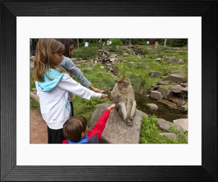 Framed Print : Picture No. 10899276 Framed Print : Picture No. 10899276