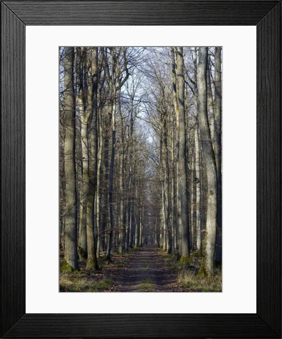 Framed Print : Picture No. 10899290 Framed Print : Picture No. 10899290