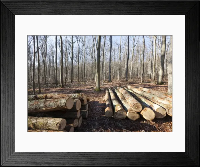 Framed Print : Picture No. 10899291 Framed Print : Picture No. 10899291
