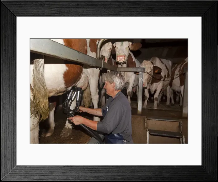 Framed Print : Picture No. 10899306 Framed Print : Picture No. 10899306