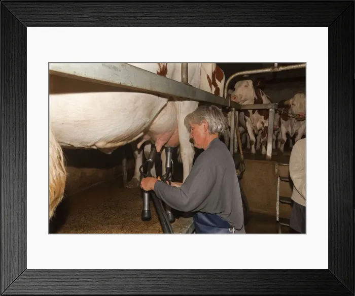 Framed Print : Picture No. 10899308 Framed Print : Picture No. 10899308