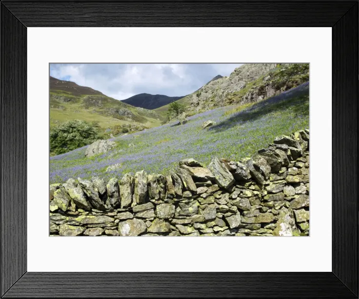 Framed Print : Picture No. 10899352 Framed Print : Picture No. 10899352