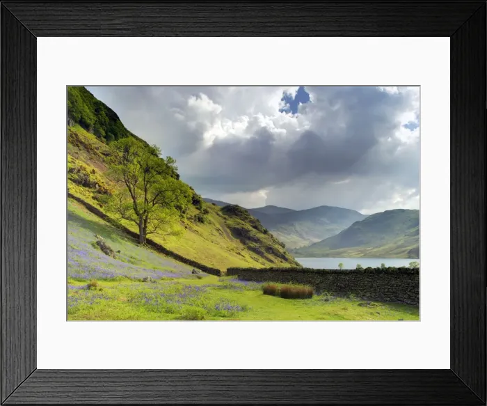 Framed Print : Picture No. 10899355 Framed Print : Picture No. 10899355