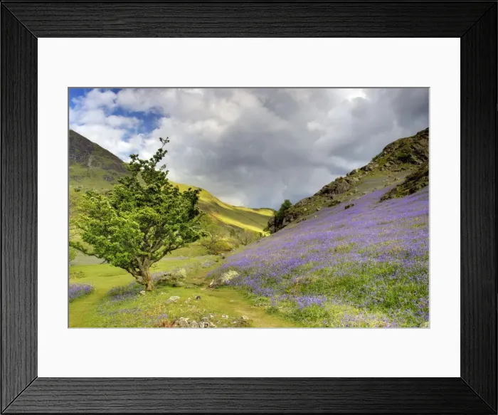 Framed Print : Picture No. 10899353 Framed Print : Picture No. 10899353