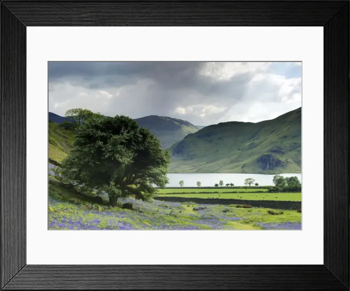 Framed Print : Picture No. 10899354