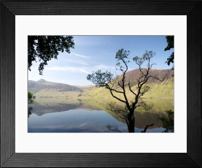 Framed Print : Picture No. 10899360 Framed Print : Picture No. 10899360