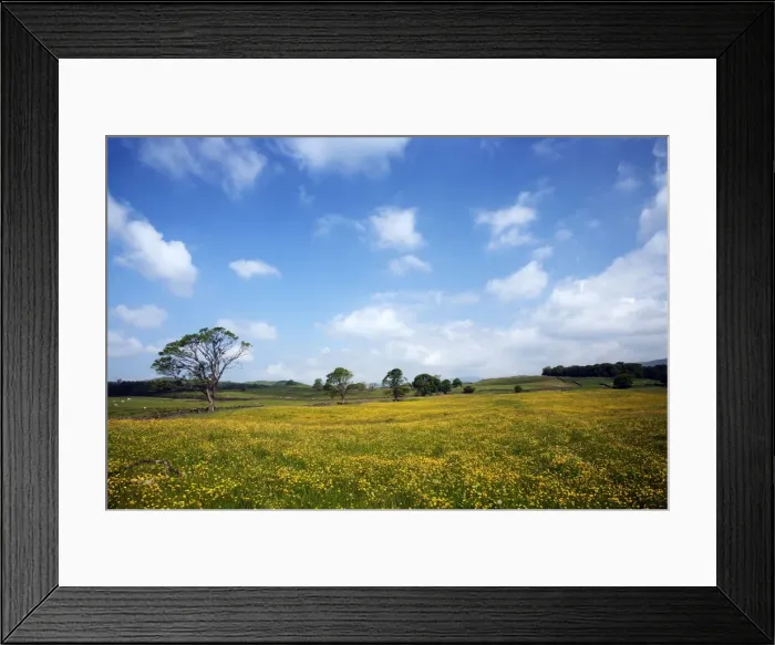 Framed Print : Picture No. 10899365 Framed Print : Picture No. 10899365