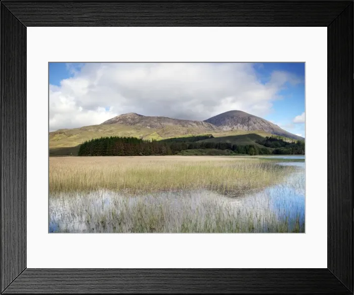 Framed Print : Picture No. 10899369 Framed Print : Picture No. 10899369
