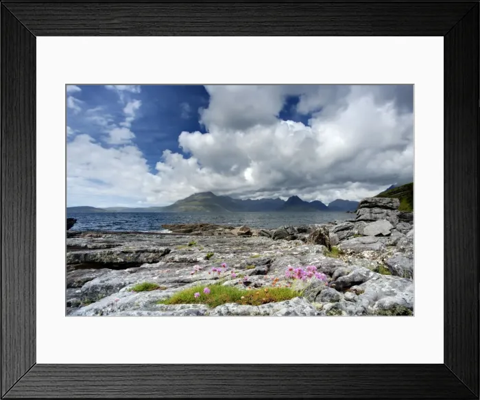 Framed Print : Picture No. 10899367