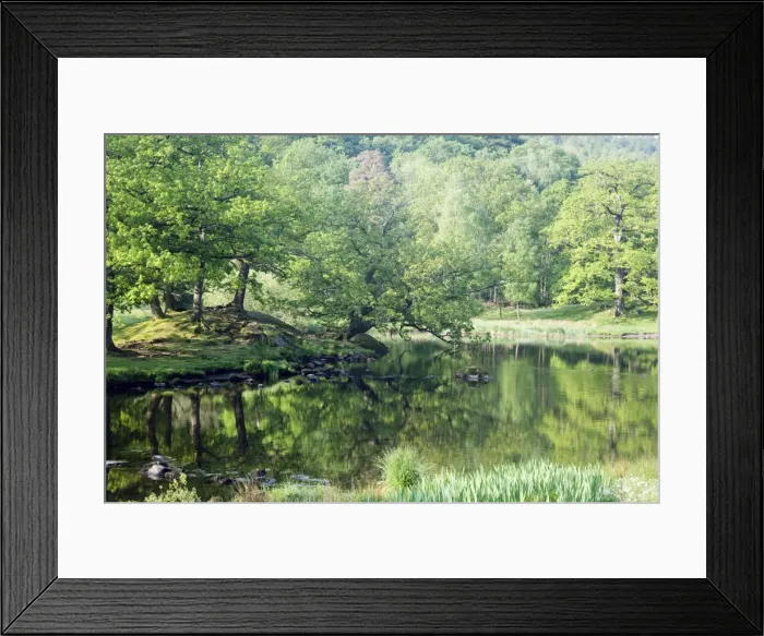 Framed Print : Picture No. 10899364 Framed Print : Picture No. 10899364