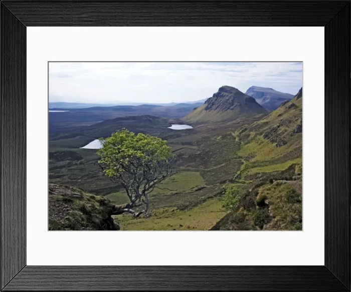 Framed Print : Picture No. 10899371 Framed Print : Picture No. 10899371