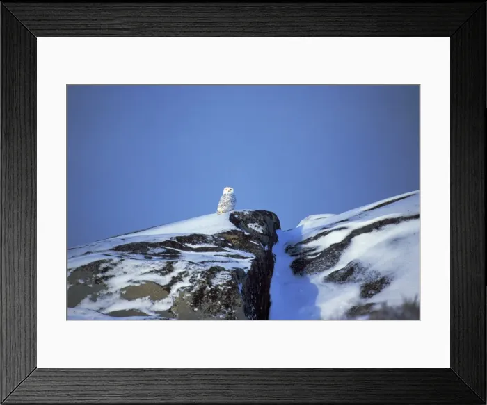 Framed Print : Picture No. 10863976