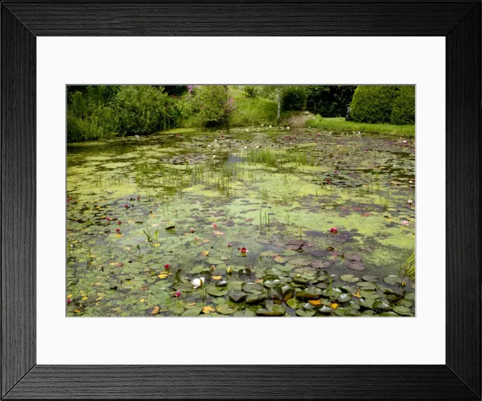 Framed Print : Picture No. 10899411 Framed Print : Picture No. 10899411