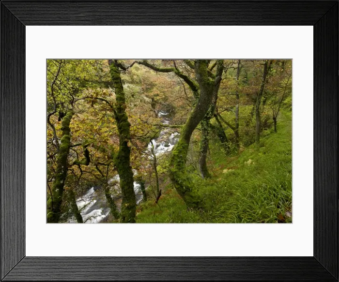 Framed Print : Picture No. 10899420 Framed Print : Picture No. 10899420