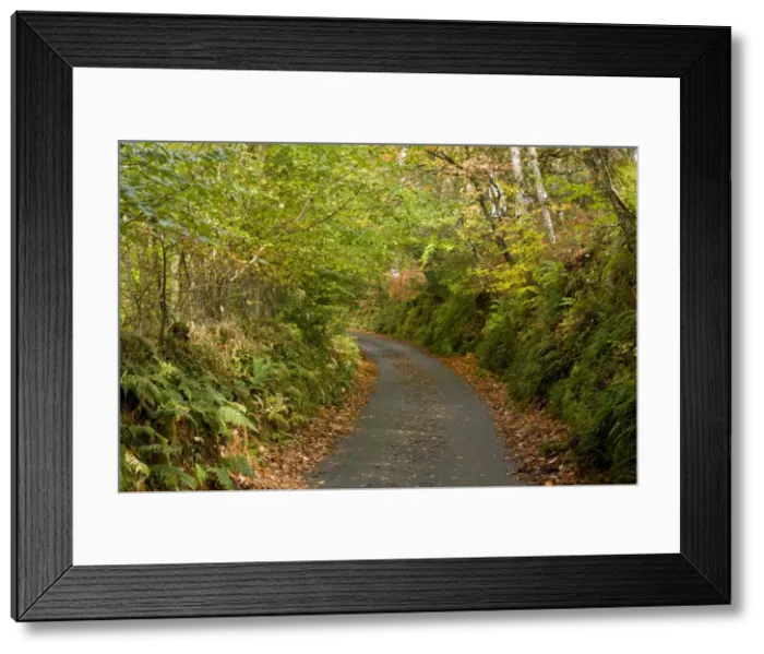 Framed Print : Picture No. 10899419 Framed Print : Picture No. 10899419