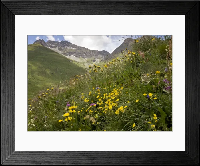 Framed Print : Picture No. 10899467 Framed Print : Picture No. 10899467