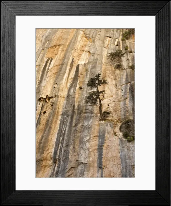 Framed Print : Picture No. 10899487 Framed Print : Picture No. 10899487