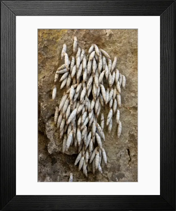 Framed Print : Picture No. 10899491 Framed Print : Picture No. 10899491