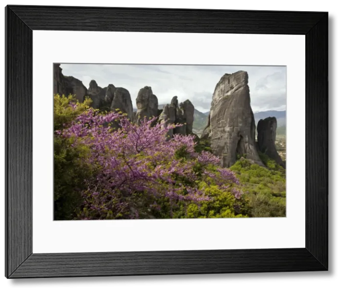 Framed Print : Picture No. 10899495 Framed Print : Picture No. 10899495