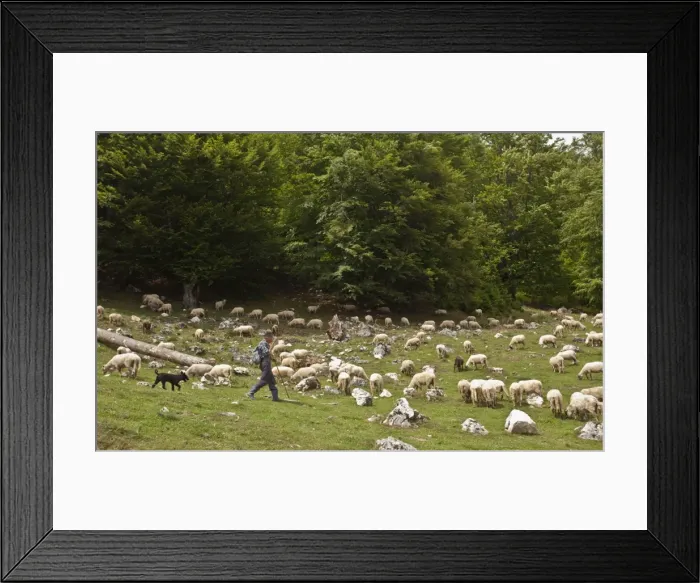Framed Print : Picture No. 10899502 Framed Print : Picture No. 10899502
