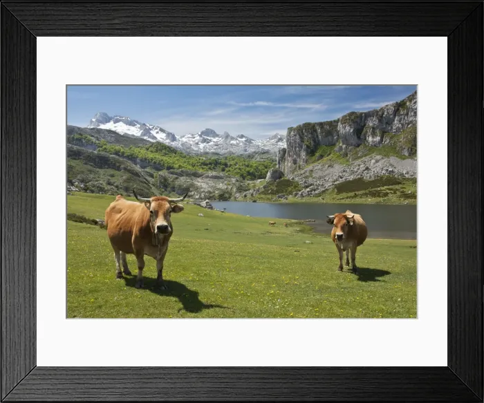 Framed Print : Picture No. 10899515 Framed Print : Picture No. 10899515