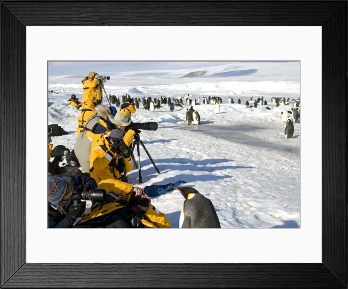 Framed Print : Picture No. 10869429 Framed Print : Picture No. 10869429