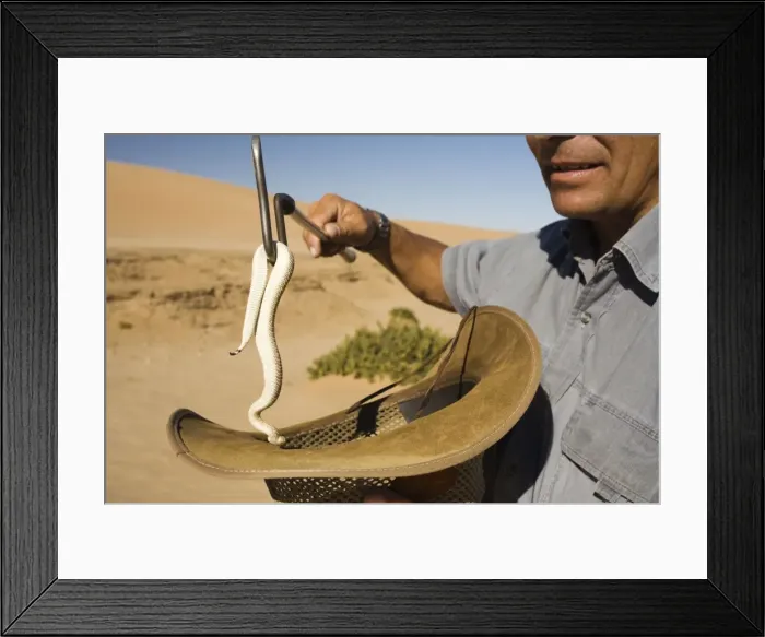 Framed Print : Picture No. 10869474 Framed Print : Picture No. 10869474