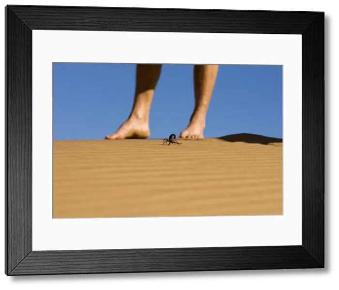 Framed Print : Picture No. 10869479 Framed Print : Picture No. 10869479