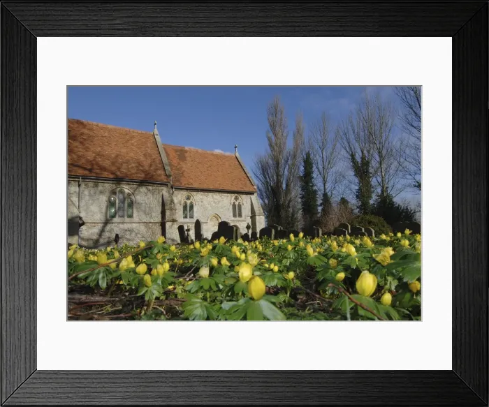 Framed Print : Picture No. 10869493 Framed Print : Picture No. 10869493