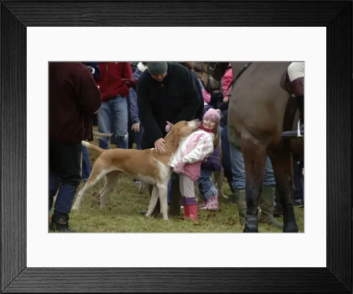 Framed Print : Picture No. 10869495