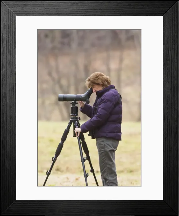 Framed Print : Picture No. 10869784 Framed Print : Picture No. 10869784