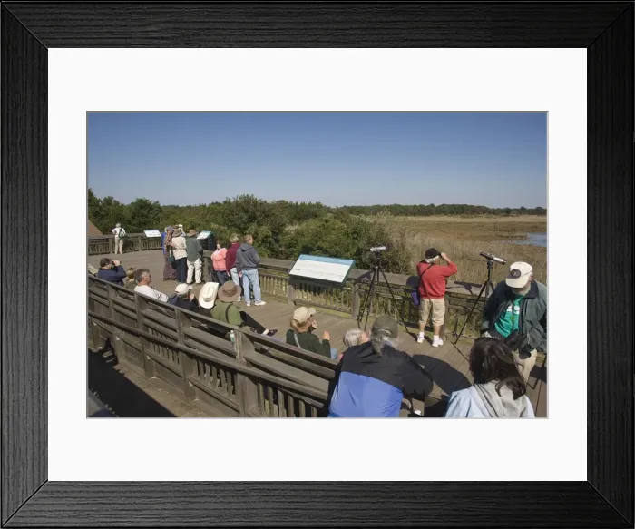 Framed Print : Picture No. 10869792 Framed Print : Picture No. 10869792
