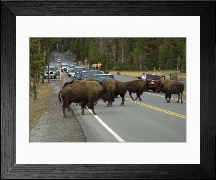 Framed Print : Picture No. 10869767 Framed Print : Picture No. 10869767