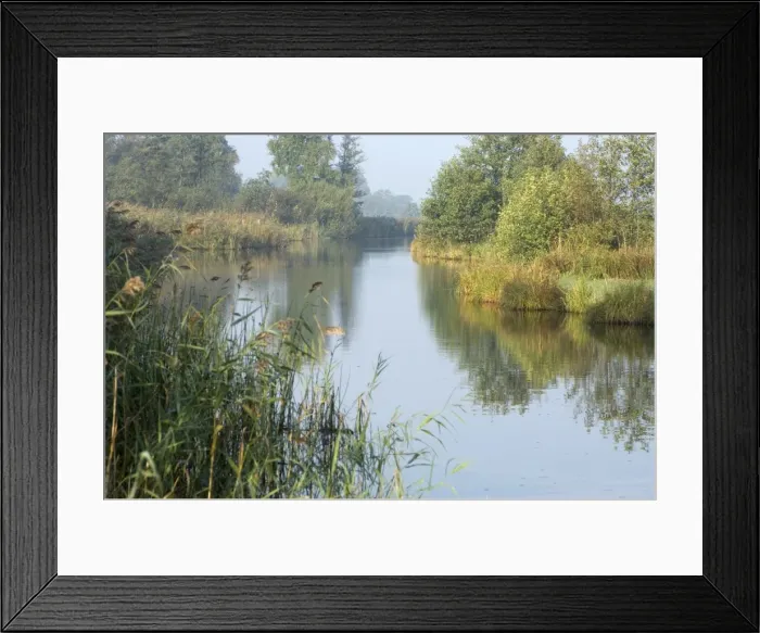 Framed Print : Picture No. 10870049 Framed Print : Picture No. 10870049