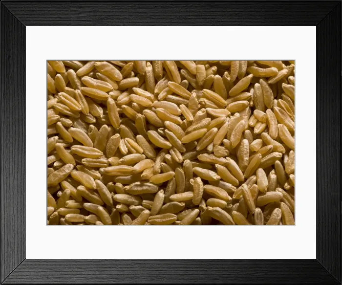 Framed Print : Picture No. 10899548 Framed Print : Picture No. 10899548