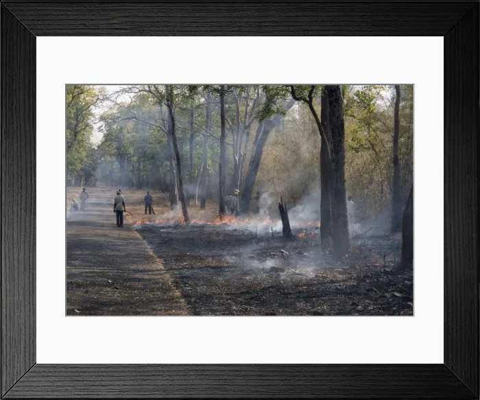 Framed Print : Picture No. 10899568 Framed Print : Picture No. 10899568