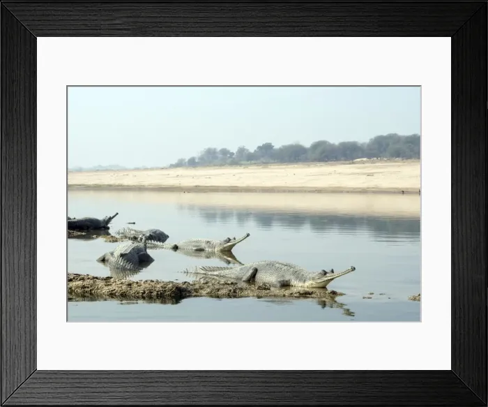 Framed Print : Picture No. 10899575 Framed Print : Picture No. 10899575