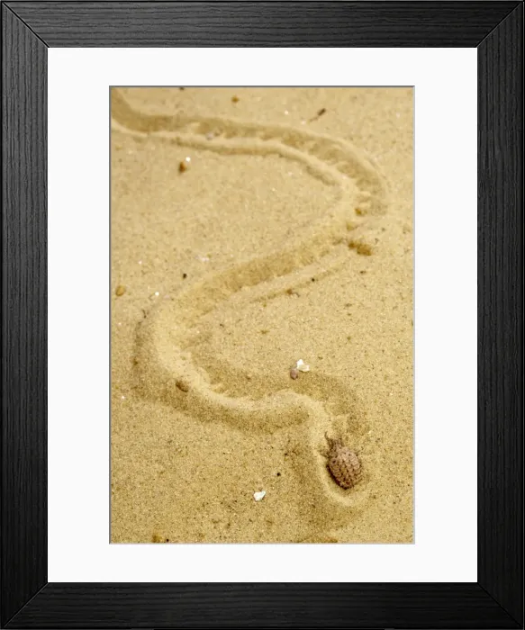 Framed Print : Picture No. 10896325 Framed Print : Picture No. 10896325