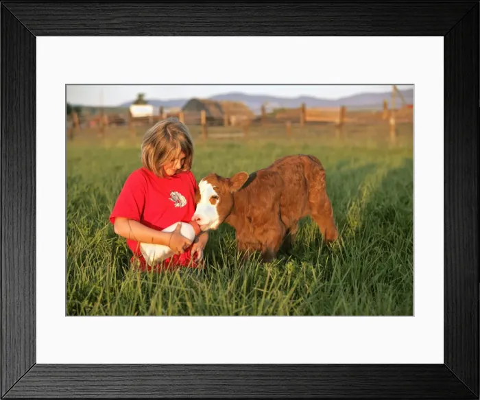 Framed Print : Picture No. 10874266 Framed Print : Picture No. 10874266