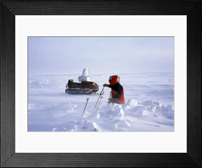 Framed Print : Picture No. 10874358 Framed Print : Picture No. 10874358