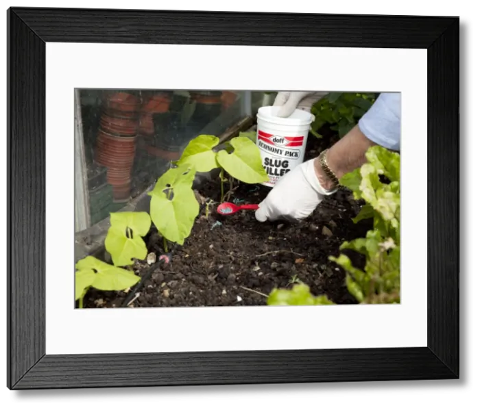 Framed Print : Picture No. 10874304 Framed Print : Picture No. 10874304