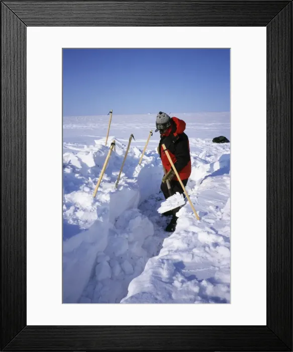 Framed Print : Picture No. 10874360 Framed Print : Picture No. 10874360