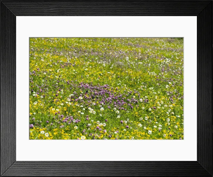 Framed Print : Picture No. 10899635 Framed Print : Picture No. 10899635