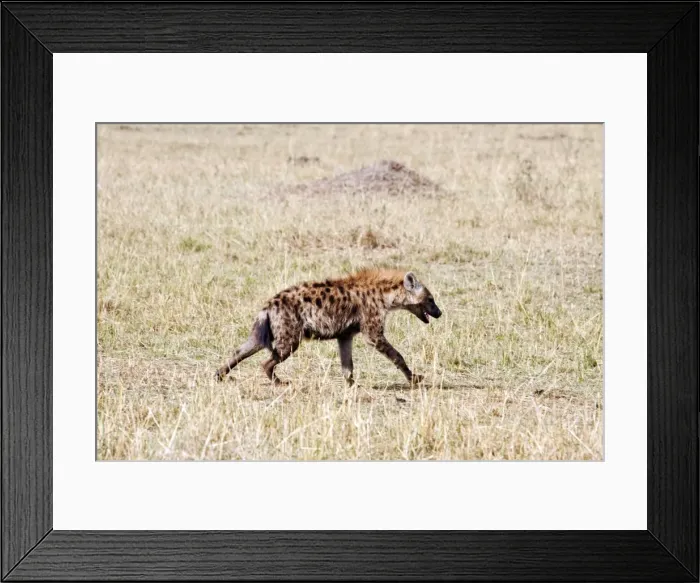 Framed Print : Picture No. 10899654 Framed Print : Picture No. 10899654