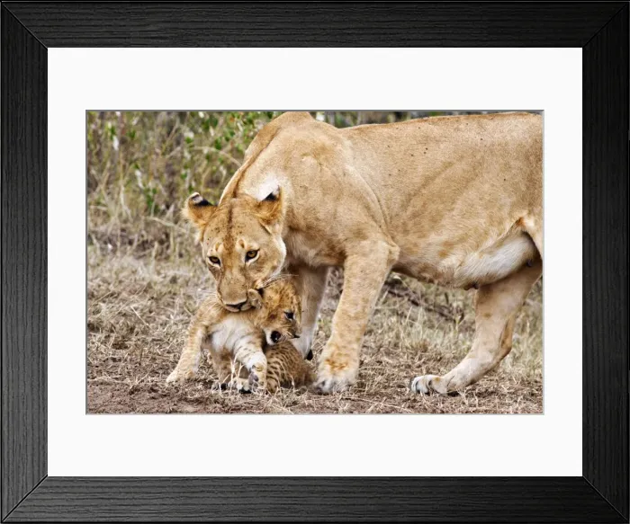 Framed Print : Picture No. 10899663 Framed Print : Picture No. 10899663