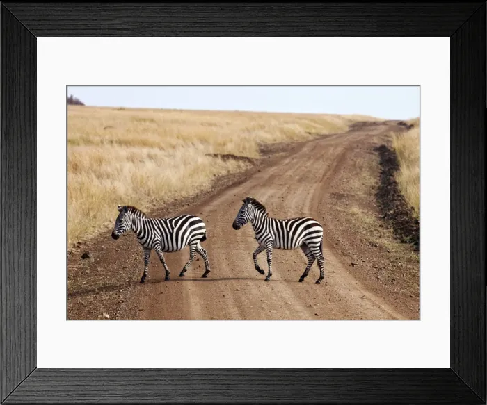 Framed Print : Picture No. 10899667 Framed Print : Picture No. 10899667