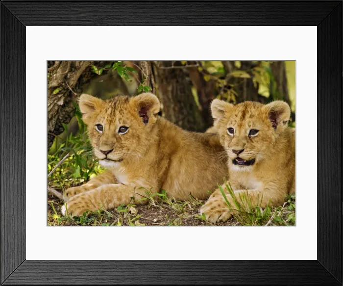 Framed Print : Picture No. 10899675 Framed Print : Picture No. 10899675